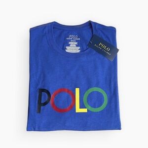 Polo Ralph Lauren Men's Multicolor Logo Long Sleeve Shirt